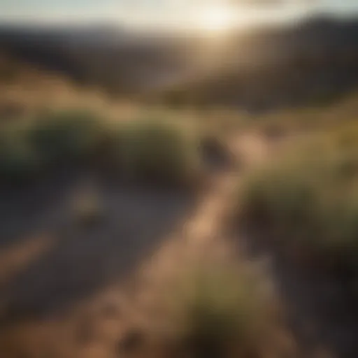 Overview of accounting profession in New Mexico