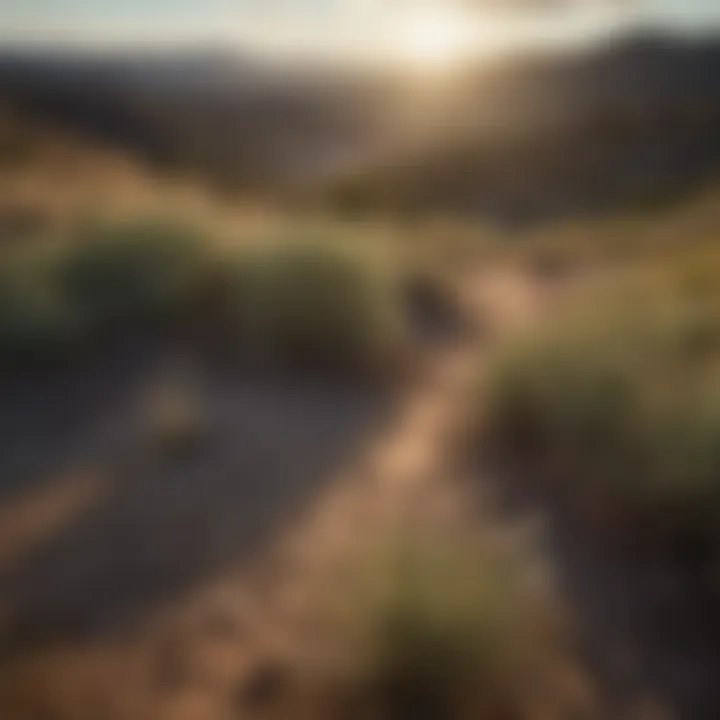 Overview of accounting profession in New Mexico