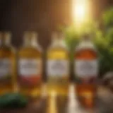 A variety of vegetable oils displayed in eco-friendly packaging