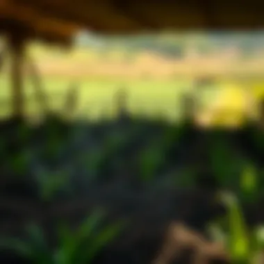 Notable Agriculture Land Lease Agreement Format: A Comprehensive Guide Notable Agriculture Land Lease Agreement Format: A Comprehensive Guide
