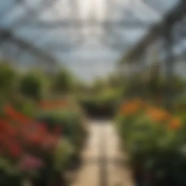 Diversity of Plant Species in Sustainable Greenhouse Diverse plant species thriving in a sustainable greenhouse environment