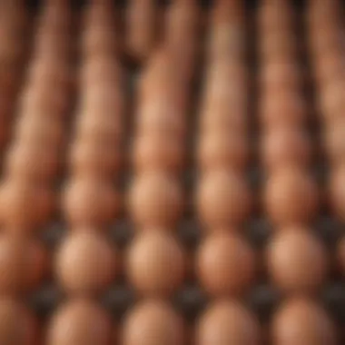 Nutritional Benefits of Cage-Free Organic Eggs Nutritional chart highlighting benefits of organic eggs