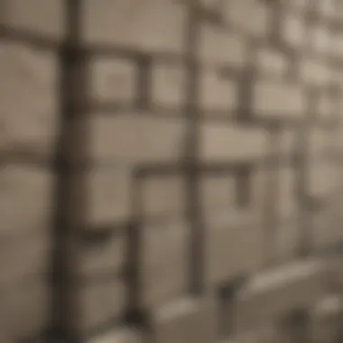 Cinder block wall installation showcasing mortar application techniques