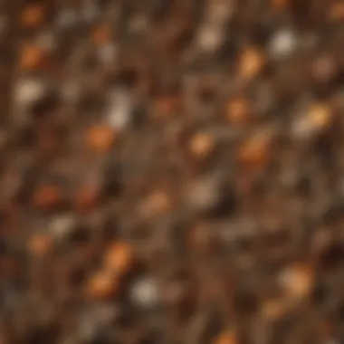 Close-up of organic materials being composted