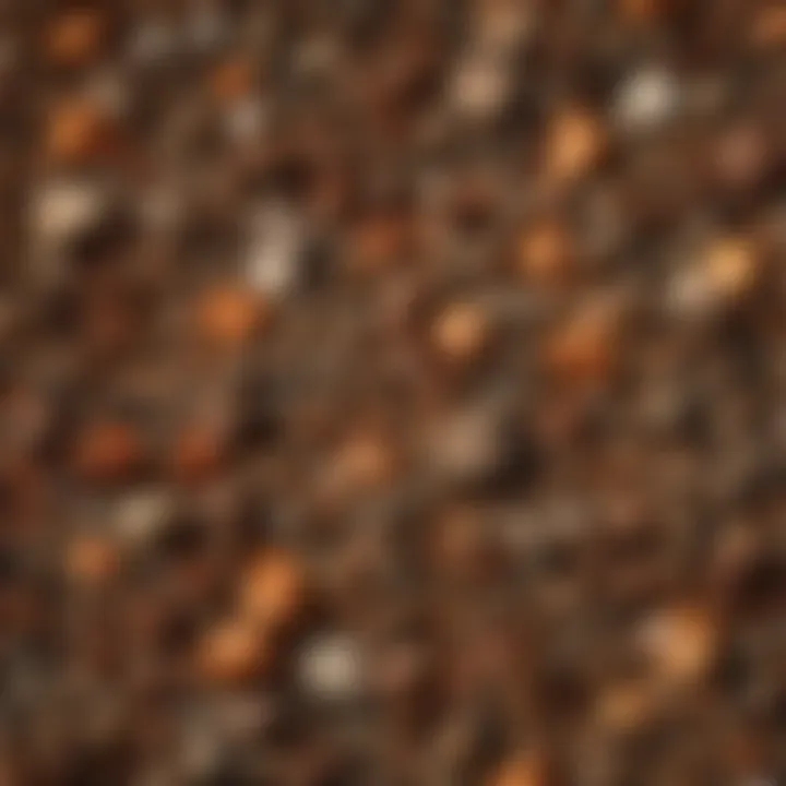 Close-up of organic materials being composted