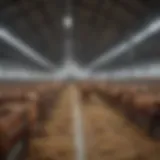Innovative livestock facility showcasing sustainable practices
