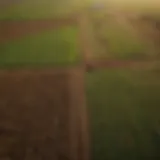 Aerial view of agricultural fields with precise boundaries marked.