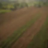 Strategic layout of agricultural land for optimal production