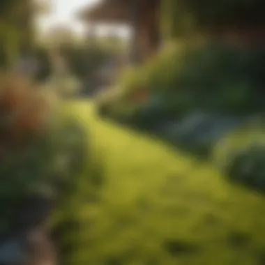 The Importance of Ongoing Grass Maintenance A thriving garden showcasing well-maintained grass and plants