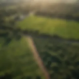 Aerial view of lush Illinois farmland showcasing diverse crops