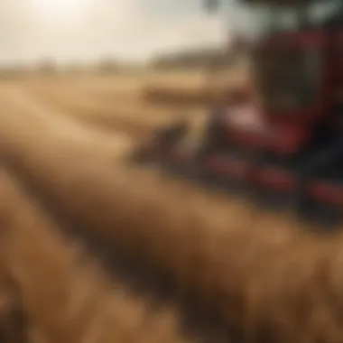 Harvesting equipment in a wheat field