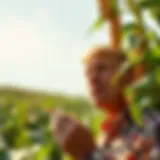 Current Soybean Pricing Dynamics Introduction