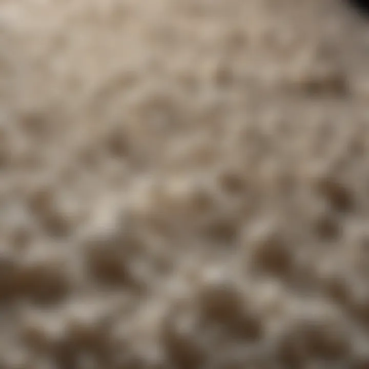 Various types of foam displayed for insulation applications