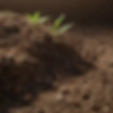 Close-up of soil quality indicating potential for agronomic practices