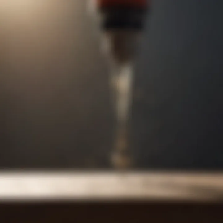 Close-up of fly sprayer nozzle illustrating precision
