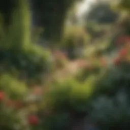 A vibrant garden showcasing various plants interspersed with weeds