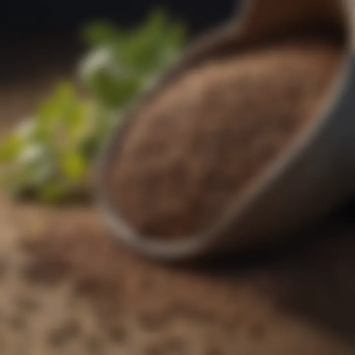 Market trends in bulk seed sourcing