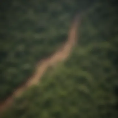 Aerial view of deforested areas juxtaposed with lush rainforest, illustrating environmental challenges.