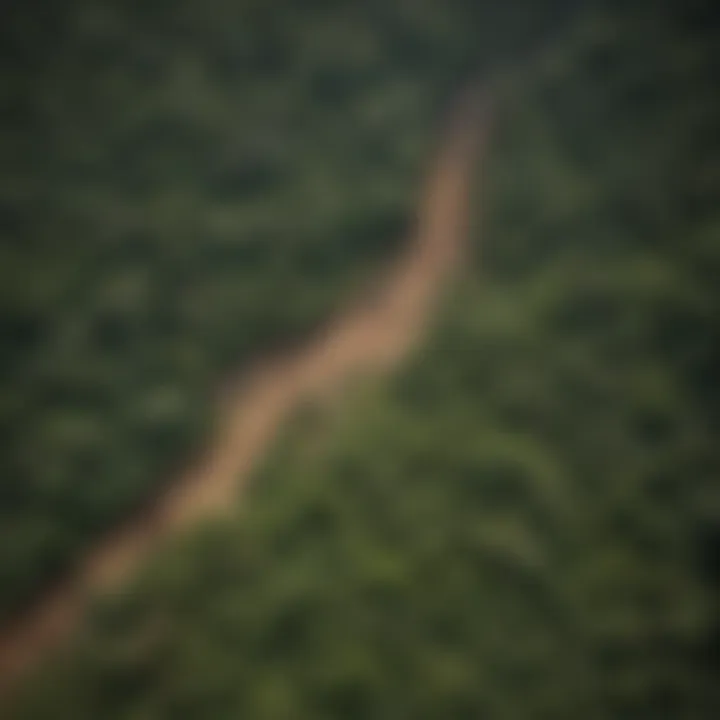 Aerial view of deforested areas juxtaposed with lush rainforest, illustrating environmental challenges.