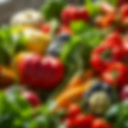 A colorful array of fresh vegetables showcasing budget-friendly nutrition.