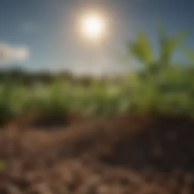 An array of organic fertilizers and nutrient amendments for sustainable farming