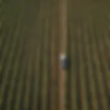 Aerial view of diverse crops in a well-maintained agricultural field