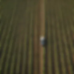 Aerial view of diverse crops in a well-maintained agricultural field