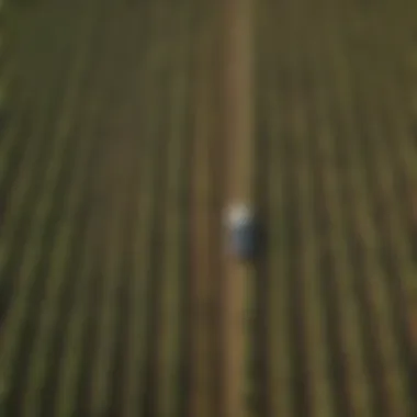 Aerial view of diverse crops in a well-maintained agricultural field
