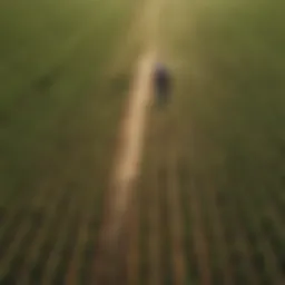 Aerial view of a lush agricultural field utilizing Jain irrigation techniques