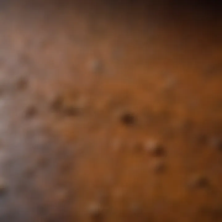 Close-up of the rich texture of linseed oil paint