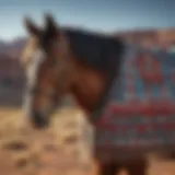 Intricate patterns of Navajo horse blankets