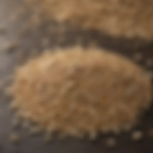 Nutritional composition of oats highlighting key vitamins and minerals