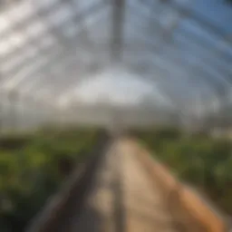 A modern prefab greenhouse showcasing eco-friendly materials and design