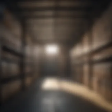 Benefits of Investing in Temporary Storage Infographic outlining benefits of temporary storage solutions.