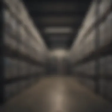 Efficient Space Utilization in Storage Interior view of a well-organized temporary storage facility.