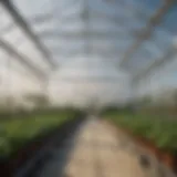 A greenhouse showcasing white polywall plastic panels