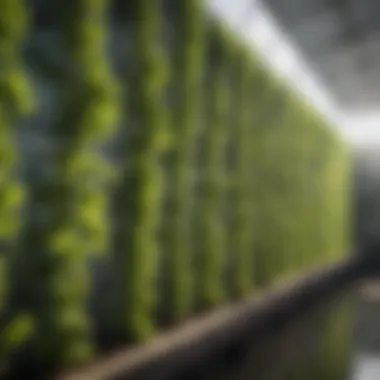 Sustainable Practices in Agriculture Using Polywall Panels Sustainable agricultural practice with polywall panels