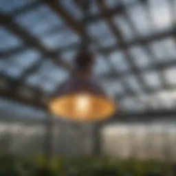 Close-up of a water tight light fixture illuminating a greenhouse