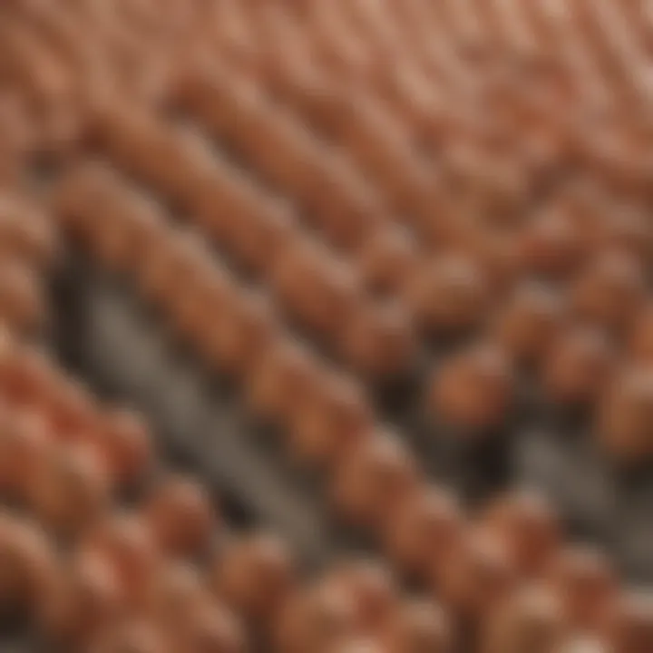 Farmers utilizing bulk egg cartons for delivery