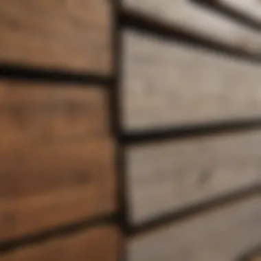 Different types of wood protectors arranged for comparison