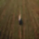 Aerial view of diverse agricultural landscapes showcasing various farming techniques.