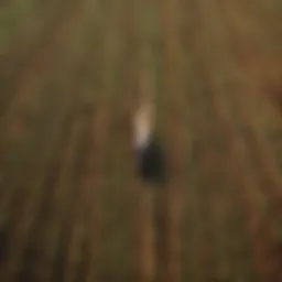 Aerial view of diverse agricultural landscapes showcasing various farming techniques.