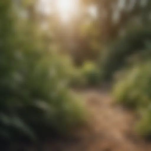 Different types of fungicides for bush plants