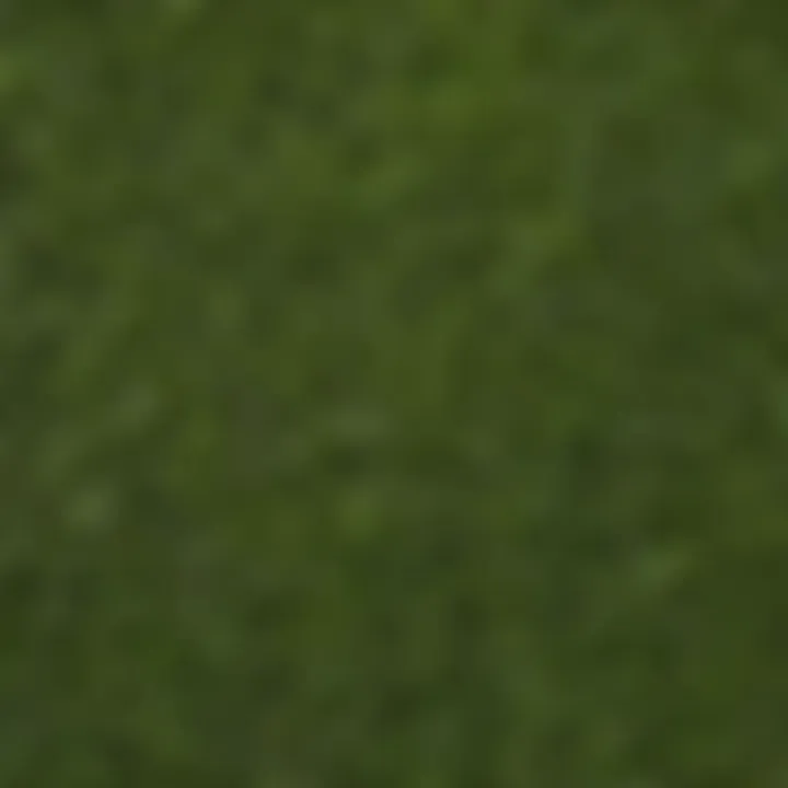 Comparison chart of different grass species for landscaping