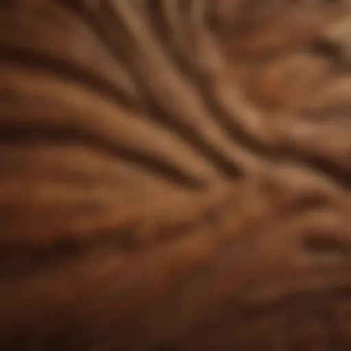 Elegant wooden structure showcasing natural grain patterns