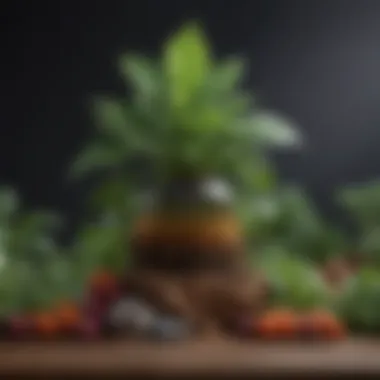 Nutrient Composition and Plant Growth Chart displaying nutrient composition and their effects on plant growth.