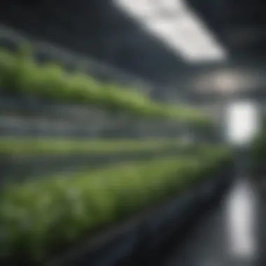 Environmental Monitoring for Plant Health Monitoring environmental conditions in a hydroponic garden