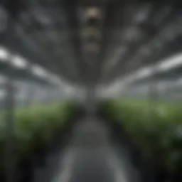 Overview of a multi chamber grow tent showcasing its compartments