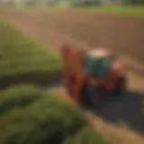 A fork truck navigating through a vibrant agricultural field