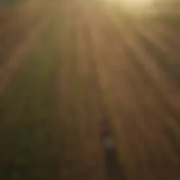 Aerial view of diverse agricultural fields showcasing sustainable farming techniques.